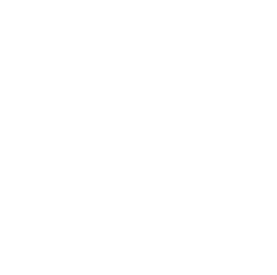 dreiturm_200-jahre_icon_professional-cleaning